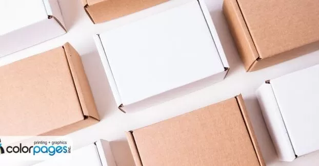 Folding Carton Design: Elevate Your Brand with Custom Packaging